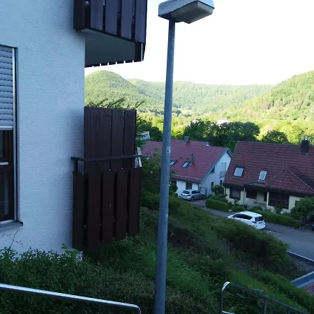 Apartment Ferienwohnung Bergblick (beim Kurgebiet) Bad Urach